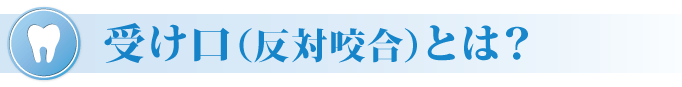 歯のブライダルケア