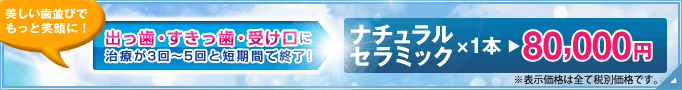 �֥ʥ����륻��ߥå��״��ָ��ꥭ���ڡ���