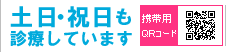 �N�����x�E�f�Î��� 10:00�`19�F00