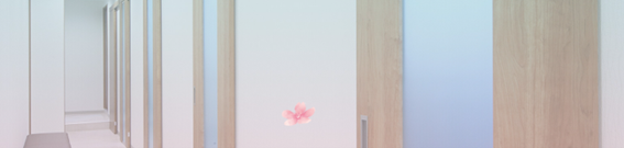 大宮銀座通り歯科の紹介