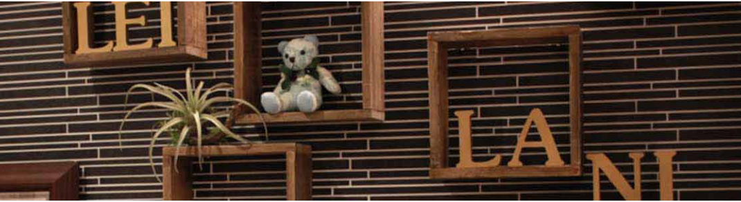 レイラニデンタルサロン・矯正歯科