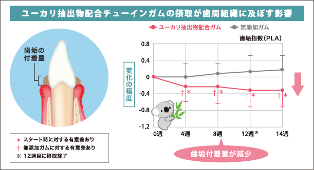 ユーカリ抽出物配合チューインガムの摂取が歯周組織に及ぼす影響