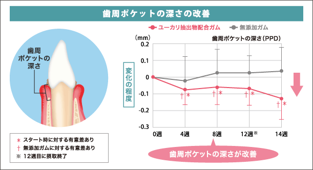 歯周ポケットの深さの改善