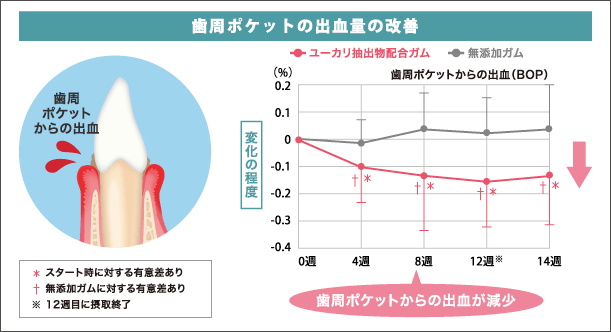 歯周ポケットの出血量の改善