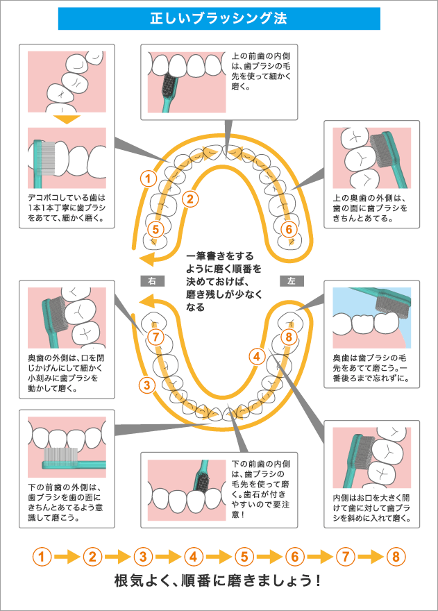 基本的な歯磨き方法