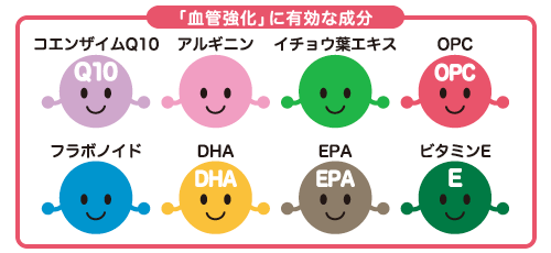 《血管強化》に有効な成分