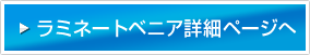 ラミネートベニア詳細ページへ