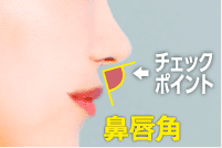 横顔のチェック方法 鼻唇角