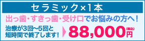 ナチュラルセラミック1本80,000円