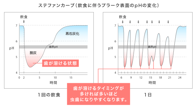 ステファンカーブ(飲食に伴うプラーク表面のpHの変化)