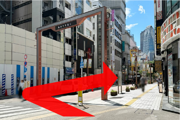新宿中央通りが見えたら右に曲がります。
