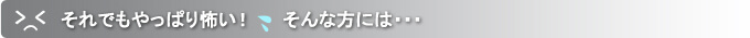 それでも怖い