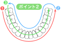 正しい歯磨きポイント2